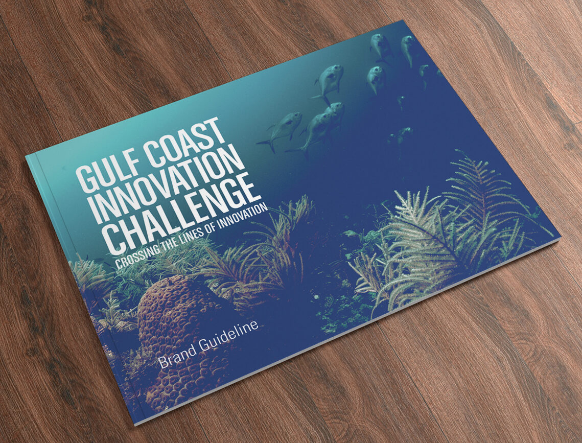 Gulf Coast Innovation Challenge Guideline Cover