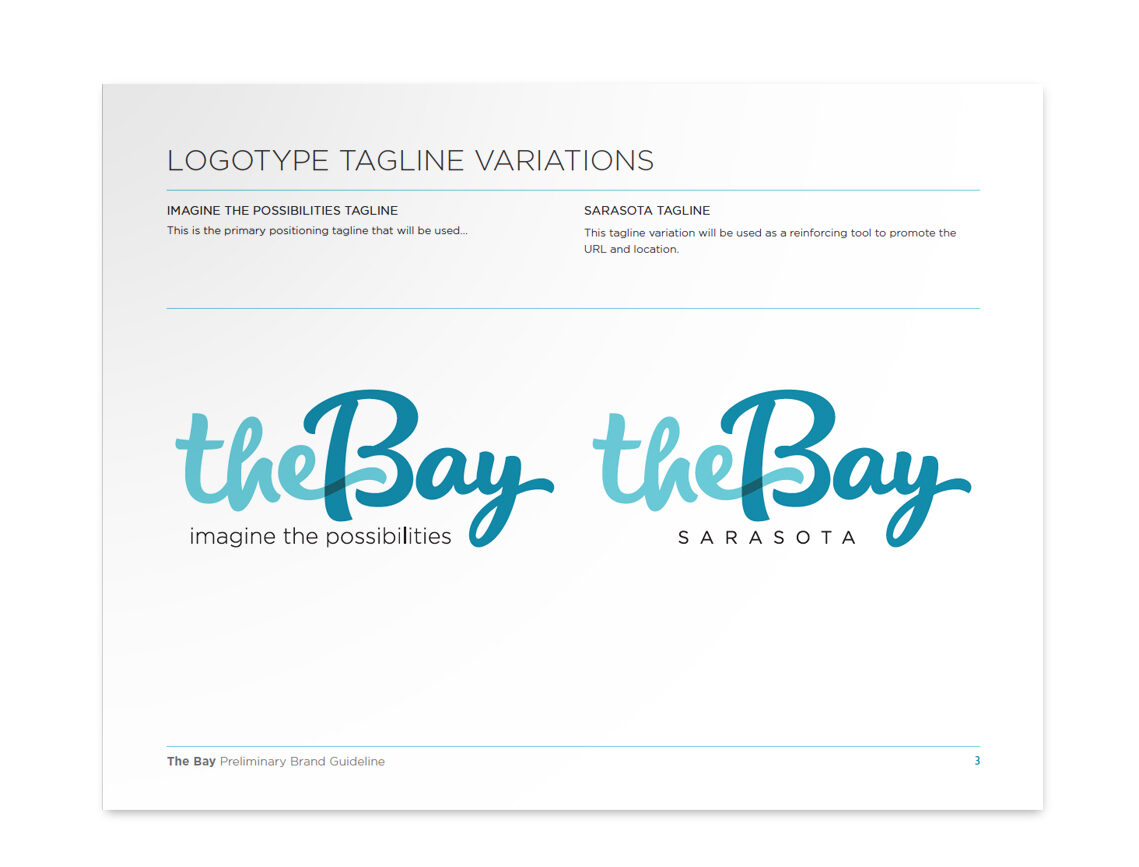 The Bay Logo Variations